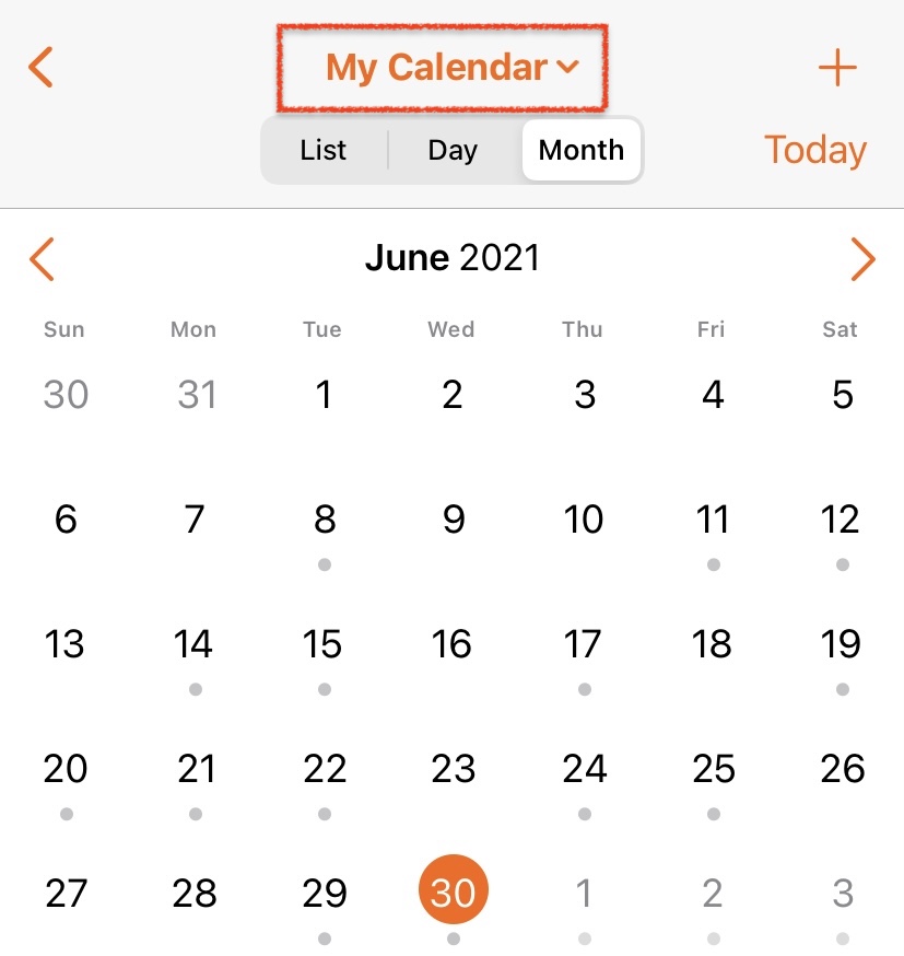 In Daylite iOS_my calendar view
